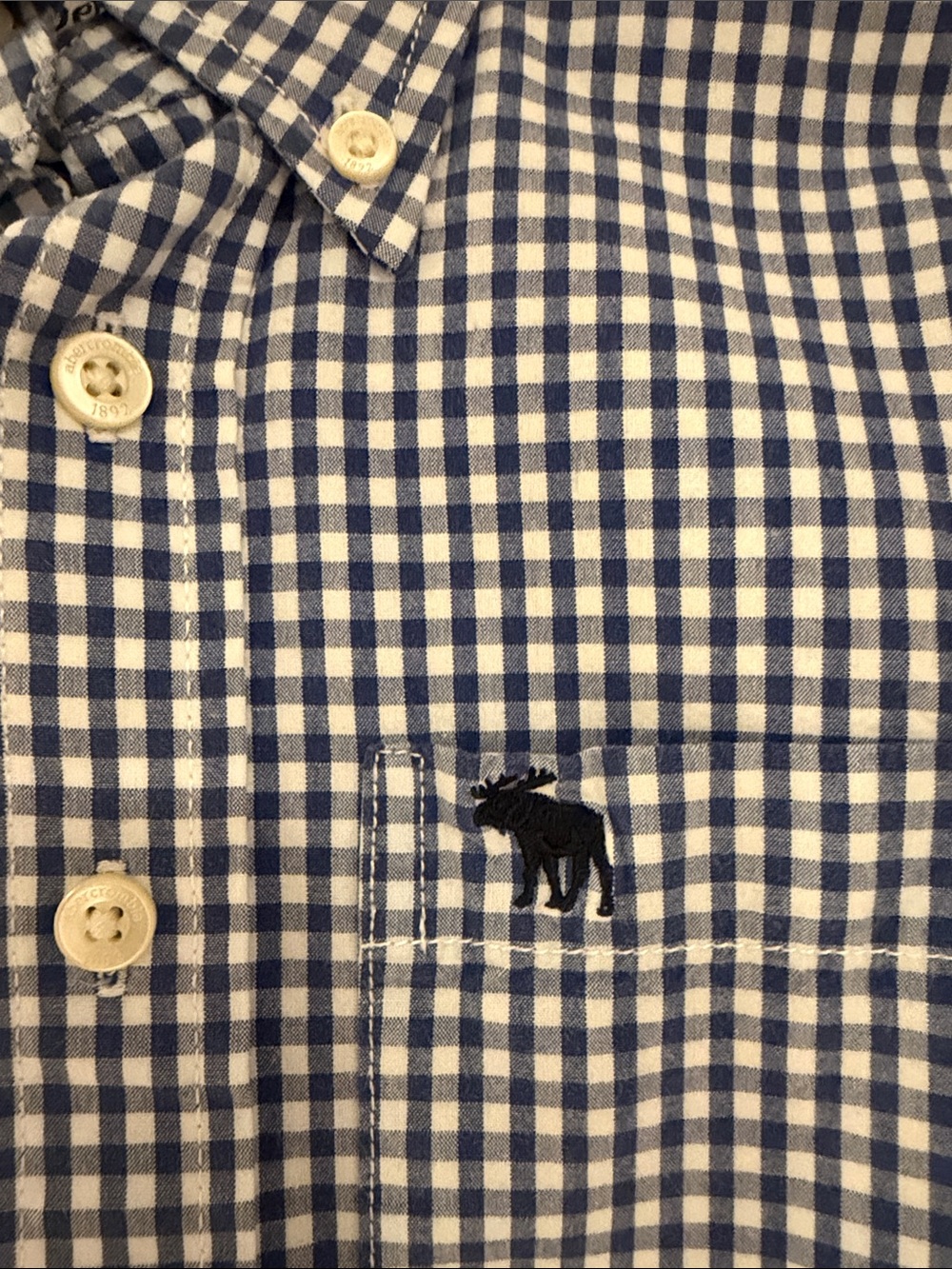abercrombie kids Blue & White Gingham Button-Down Shirt - Picture 2 of 6